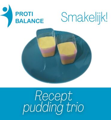 Trio Pudding (1)