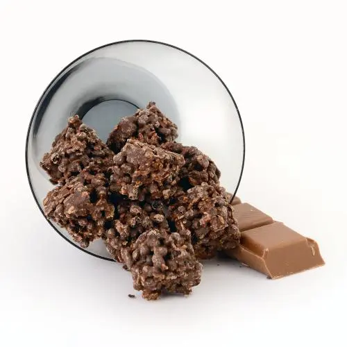 Proteïnebites pure chocolade